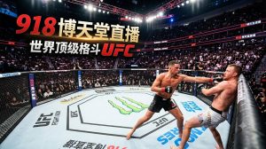 世界顶级格斗 UFC 直播：918 博天堂沉浸式 3D 互动